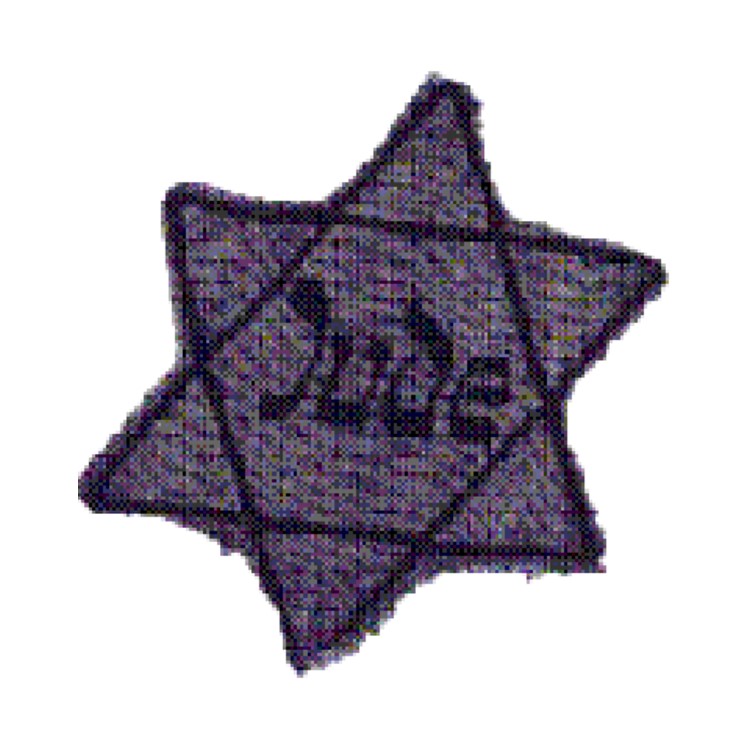 Jews were forced to wear this star on their clothing, to shame and harass them
